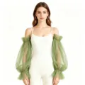 Women sheer mesh puff sleeves detachable arm covers solid color sun protection sleeves main view - One Size / Fruit Green
