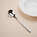 Roestvrijstalen lepel met lange handgreep, 304 materiaal, 21,5 cm lange lepel. - Glanzende Afwerking