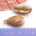 Pendentif coquillage conque en acrylique accessoires bijoux DIY collier composant artisanal - Conque / 1 Pièce (17x32mm) / Couleur Naturelle