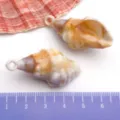 Pendentif Coquillage Conque Simulé Acrylique DIY Accessoire Bijou Variante Orange Blanc - Conque / 1 Pièce (20x41mm) / Couleur Naturelle