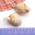 Pendentif coquillage conque simulé acrylique DIY collier fait main accessoires - Conque / 1 Pièce (19x31mm) / Couleur Naturelle
