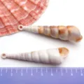 Acrylique simulé coquillage conque pendentif DIY fait main collier bijoux accessoire. - Conque / 1 Pièce (17x68mm) / Couleur Naturelle