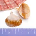 Pendentif coquillage en acrylique simulation breloque DIY pour collier bijou fait main porte-clés. - Coquillage / 1 Pièce (27x26mm) / Couleur Naturelle