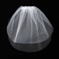 Detailed view of white vintage birdcage bridal veil, net mesh wedding hair accessory. - White