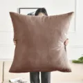 Large velvet throw pillow cover, brown square cushion for sofa bedroom living room home decor - 50x50cm Pillow Cover / Ebony Coffee