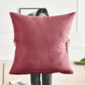 Large velvet throw pillow cover soft cushion for sofa bedroom living room home decor - 50x50cm Pillow Cover / Burgundy