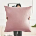 Large pink velvet throw pillow, soft cushion cover for comfortable sofa and home decor. - 50x50cm Pillow Cover / Rouge Pink