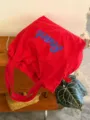 Detail view of a Korean style red canvas tote bag with blue Beach letter print for casual use. - Red