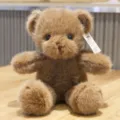 Detailed close-up of fluffy brown teddy bear plush toy with soft fur, perfect cozy gift. - Plain Brown Bear / 30 cm