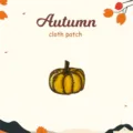 Dettaglio di una simpatica toppa in tessuto ricamato con zucca per decorazione vestiti. - Zucca