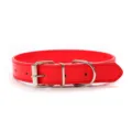 Rode PU lederen huisdierhalsband met stevige metalen gesp voor honden en katten. - 1.2*33CM / Rood