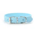 Lichtblauwe PU lederen huisdier halsband met metalen gesp voor katten en honden model - 1.2*33CM / Cyaan