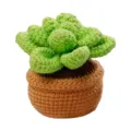 Pianta succulenta all'uncinetto fatta a mano vaso carino decorazione da scrivania - Kit Pianta Grassa Verde / Verde