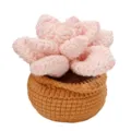 Planta suculenta rosa de ganchillo hecha a mano, bonita variante de decoración de escritorio. - Kit de Suculenta Rosa / Rosa