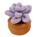 Planta suculenta de ganchillo hecha a mano decoración de escritorio bonita lana flor - Kit de Suculenta Púrpura / Púrpura