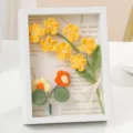Marco de fotos de flores de ganchillo hecho a mano caja de exhibición de madera - No-me-olvides Amarillo / Amarillo