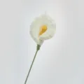 Fleur de lis de calla au crochet faite main, variante de tête de fleur blanche pure. - Produit Fini Calla / Blanc