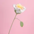 Rosa de ganchillo hecha a mano flor artificial ramo tejido regalo día de la madre - Amarillo