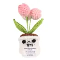 Handmade crochet skull potted plant with pink tulips and cute emotional support card for home decor. - Pink Tulips