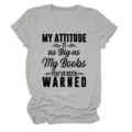 Detailopname van grijs dames t-shirt met korte mouwen en grappige slogan op de borst. - S / Lichtgrijs