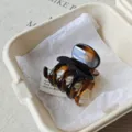Tortoise shell hair claw clip for women, elegant resin hair accessory for styling thick hair daily - 5cm Round Spring / Glossy Amber