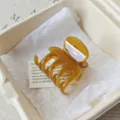 Amber hair claw clip aesthetic acetate hair accessories for women elegant styling daily wear - 5cm Round Spring / Turmeric