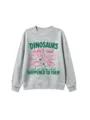Grey crewneck sweatshirt featuring funny dinosaur graphic print and text, casual style. - 110cm / Tops / Light Gray