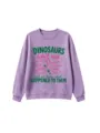 Funny dinosaur graphic print long sleeve purple sweatshirt casual youth streetwear top - 110cm / Tops / Lavender