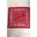 Rotes Paisley Bandana Hip Hop Kopfbedeckung quadratisches Tuch Outdoor Sport Radmaske - Rot