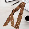 Korean style spring summer thin decorative ribbon scarf versatile chic neckerchief accessory - Geometric Earth Coffee