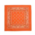 Oranger Paisley-Bandana für Outdoor-Sport, Hip-Hop-Tanz, Radfahren und modische Alltags-Kleidung. - Orangerot