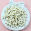 Starfish Stone Beads Off-White DIY Craft Jewelry Making Straight Hole Loose Beads Component - Starfish / White