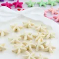 Cuentas de estrella de mar turquesa estilo océano DIY, abalorios blancos brillantes para joyas. - Blanco Brillante