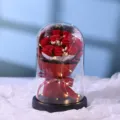 Preserved rose glass dome LED light flower bouquet romantic gift for girlfriend birthday - 9 Roses Glass Cover with LED Lights and Handbag / Red
