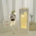 Romantic rose bouquet gift set with LED fairy lights and gift bag for Valentine's Day. - 3 Roses Lilac Purple with Light Window Bag
