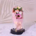 Exquisite glass dome eternal flower gift with romantic LED fairy lights for romantic occasions. - Girl Pink