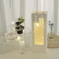 Valentine's Day black rose bouquet gift set with LED string lights and window gift bag. - 3 Roses Black Knight with Light Window Bag
