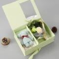 Bellissima Scatola Regalo San Valentino Rosa di Sapone Bouquet Orsetto in Spugna Romantico - Scatola Regalo Verde con Orsetto in Asciugamano Verde