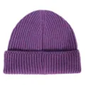 Purple ribbed knit beanie hat, soft winter warm pullover cap variant for daily wear. - One Size / Purple