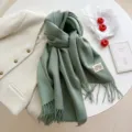 Green winter imitation cashmere scarf for women, warm long solid color tassel shawl. - Double-Sided Cyan-Green