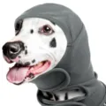 Zachte grijze hondensnood en geluiddempende oorbeschermer, warm en elastisch huisdierenhoofddeksel. - S / Grijs