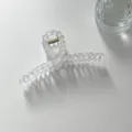 Minimalist frosted clear bubble hair claw clip, elegant summer daily hair styling accessory. - Matte White