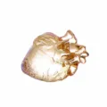 Ornement cœur anatomique en cristal décoration de table cadeau luxe or pour Saint-Valentin - 56x76.6x44mm / Champagne