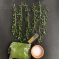 DIY wind chime material kit featuring green crystal bead branches, moss, pot and golden chains. - Fruit Green Flat Bead Leaf (DIY Kit) / 8#