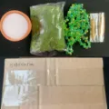 DIY Sonnenfaenger Materialset Gruene Kristallperlen Terracotta Topf Gartendeko SKU - Terrakotta Topf DIY Halbfertig