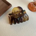 Gradient amber resin hair claw clip, elegant tortoise shell design for stylish daily hair styling. - Frosted / 9.5cm / Brown