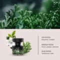 Car diffuser car perfume gardenia scent long lasting odor removal car interior fragrance fresh - Amber Cedar