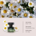 Car air freshener perfume long-lasting aroma floral scent auto diffuser bottle with daisy decor - Misty Garden