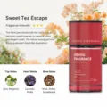 Car air freshener red bottle 120ml long lasting fragrance auto interior scent deodorant - Encounter Fragrance