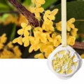 Osmanthus plaster fragrance pendant for wardrobe and room air freshener hanging - Osmanthus Rain
